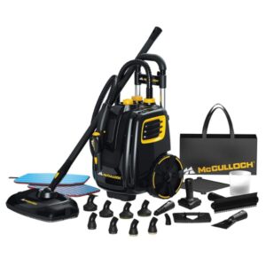 commercial steam cleaner