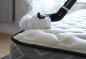 best steam cleaner for mattress reviews