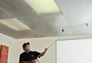 best steam mop cleaner for tile ceilings