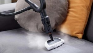 Does steam cleaning kill viruses