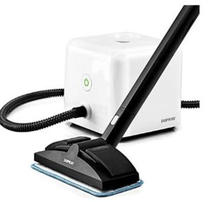 Dupray Neat heavy duty vapor steam cleaner with accessories