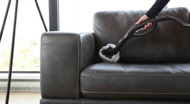 how to get cat urine smell out of leather couch